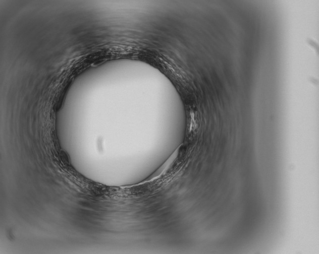 X0000096490961200802141742