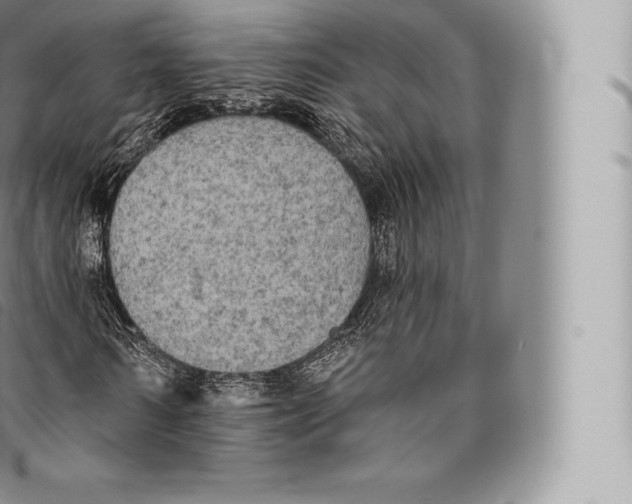 X0000096490962200802141742