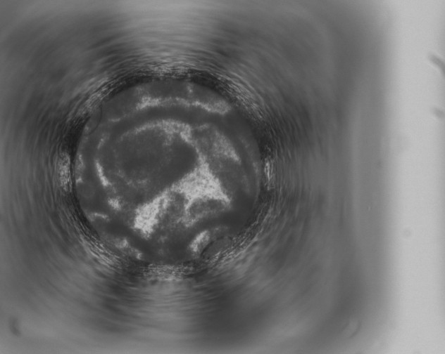 X0000096490963200802141742