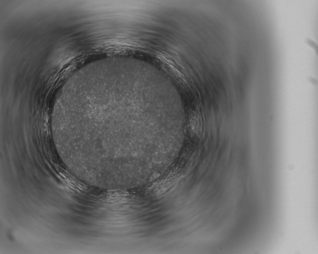 X0000096490964200802141742