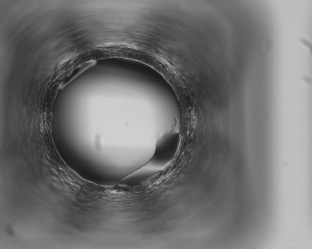 X0000096490965200802141742