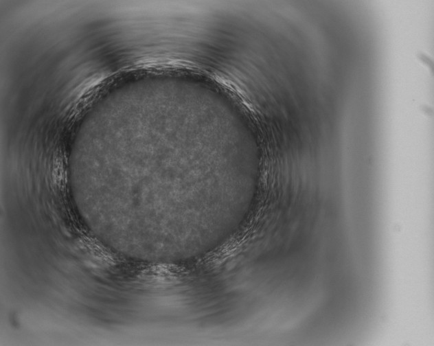 X0000096490966200802141742