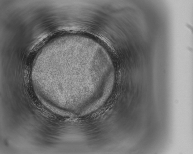 X0000096490967200802141742