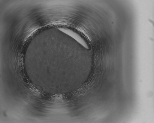 X0000096490968200802141742