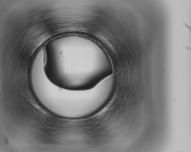 X0000096490969200802141742