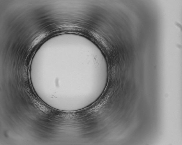 X0000096490970200802141742