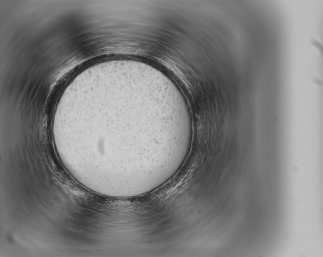 X0000096490971200802141741