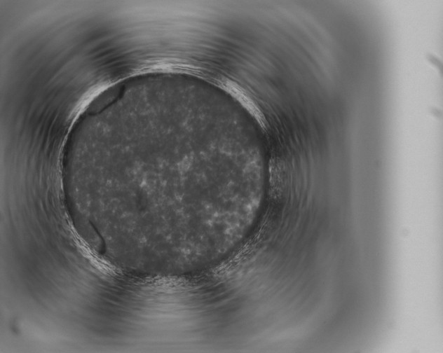 X0000096490972200802141741