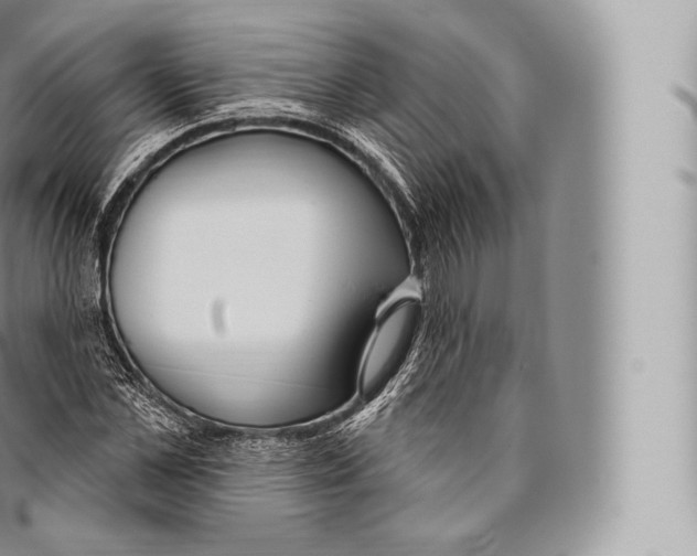 X0000096490973200802141741