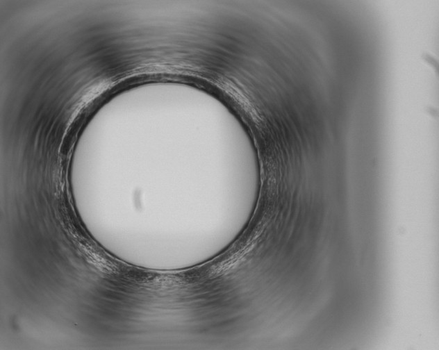 X0000096490974200802141741