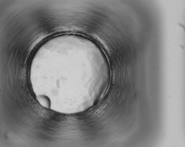 X0000096490975200802141741