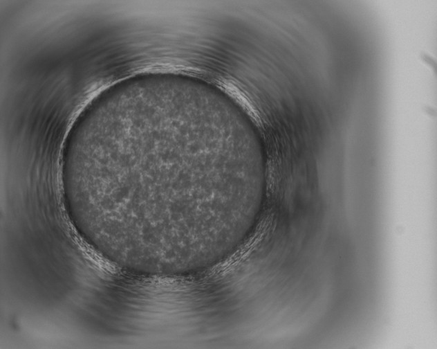 X0000096490976200802141741