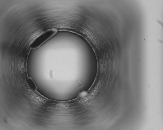 X0000096490977200802141741