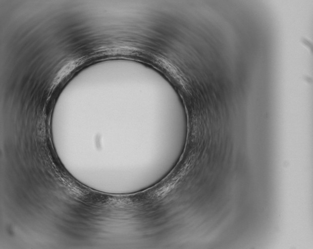 X0000096490978200802141741