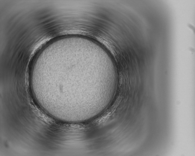 X0000096490979200802141741