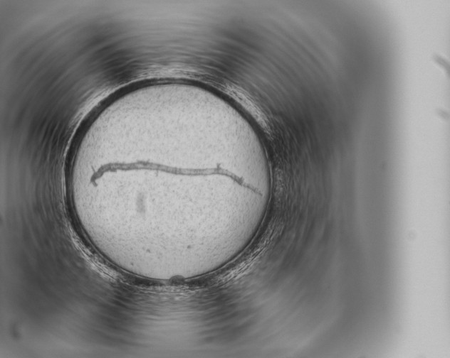 X0000096490980200802141741