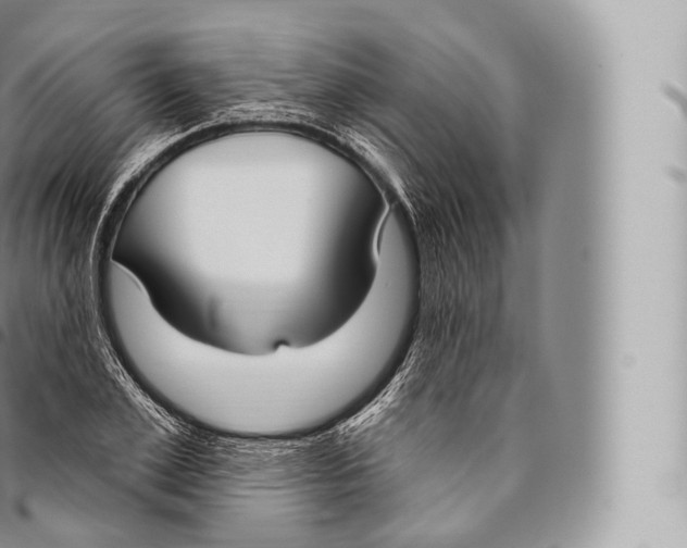 X0000096490981200802141741