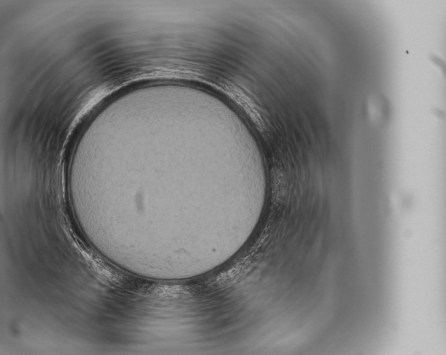 X0000096490982200802141741