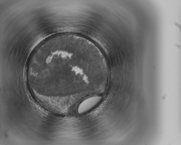 X0000096490983200802141741