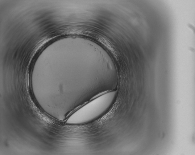 X0000096490984200802141741