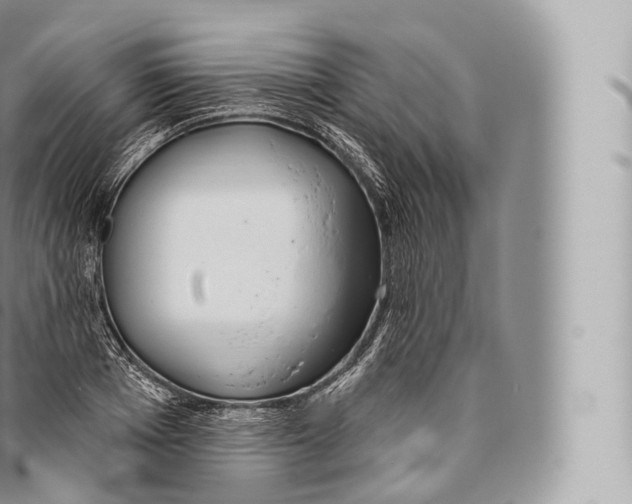 X0000096490985200802141741