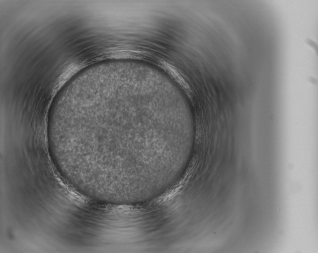 X0000096490986200802141741