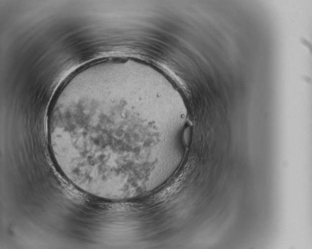 X0000096490988200802141741