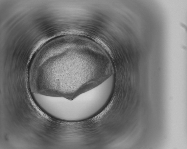 X0000096490989200802141741