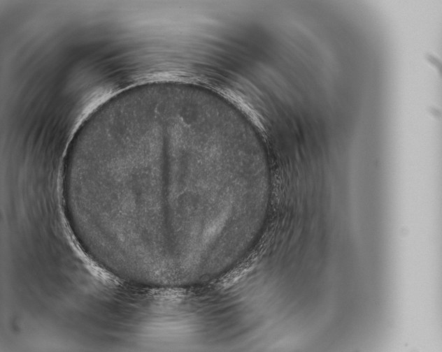 X0000096490991200802141741