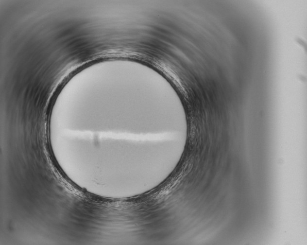 X0000096490992200802141741