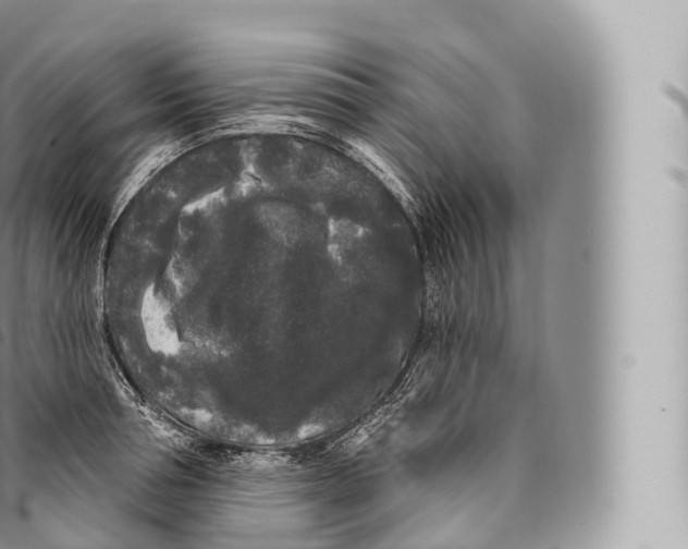 X0000096490994200802141741