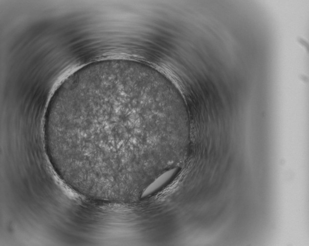 X0000096490995200802141741