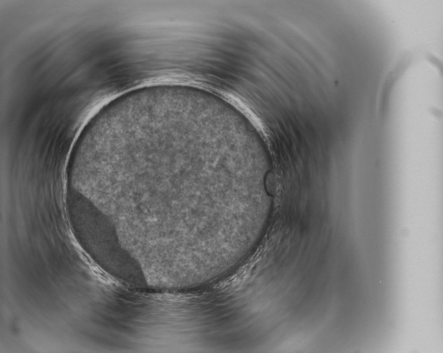 X0000096490996200802141741