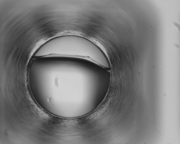 X0000096490997200802141741