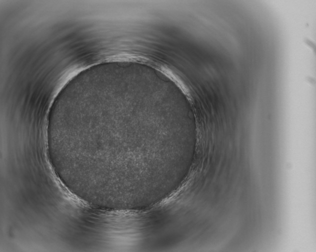 X0000096491000200802141741