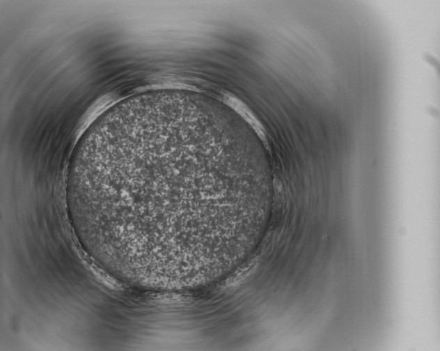 X0000096491002200802141741