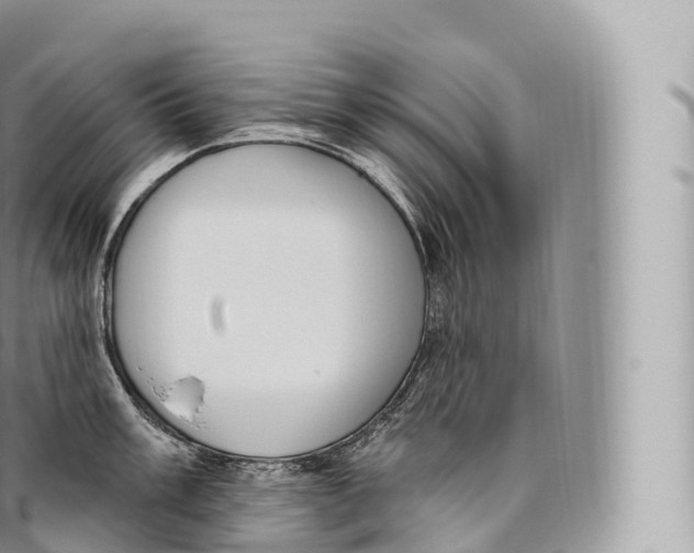 X0000096491003200802141741