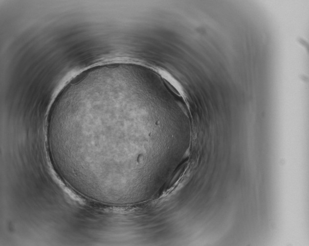 X0000096491005200802141741