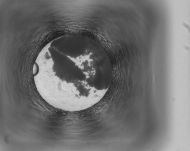 X0000096491009200802141740