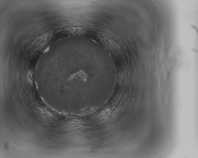 X0000096491010200802141740