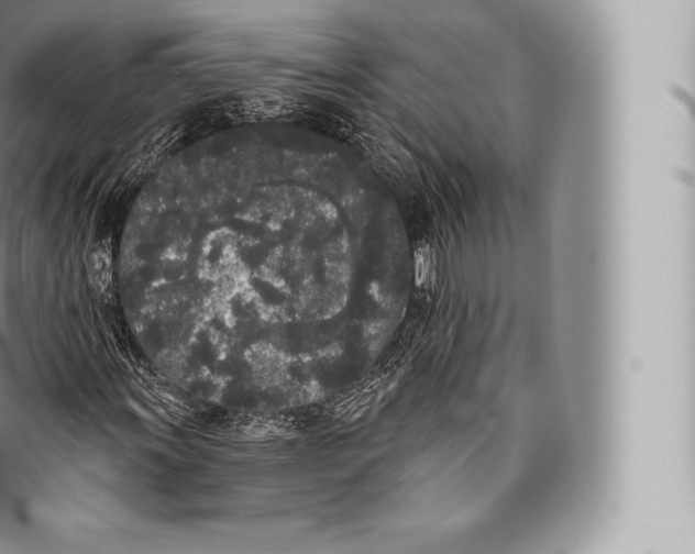 X0000096491011200802141740