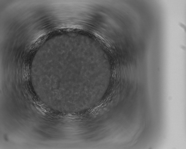 X0000096491014200802141740