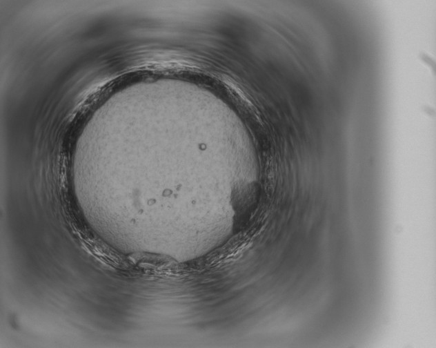 X0000096491016200802141740