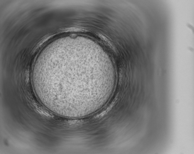 X0000096491017200802141740