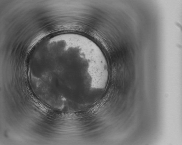 X0000096491019200802141740