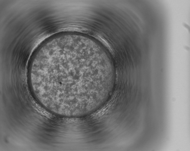 X0000096491020200802141740