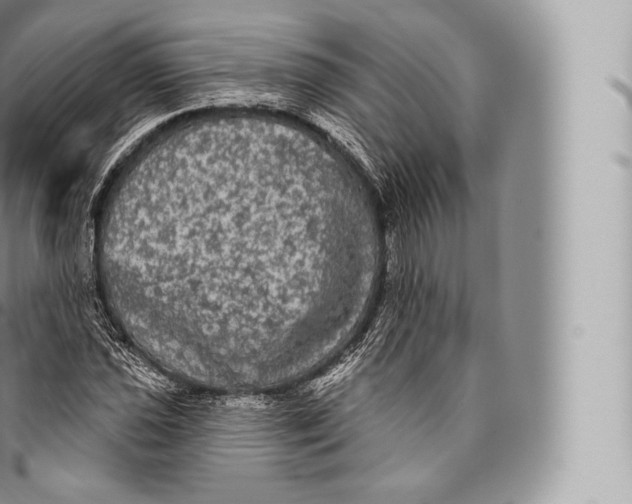 X0000096491021200802141740