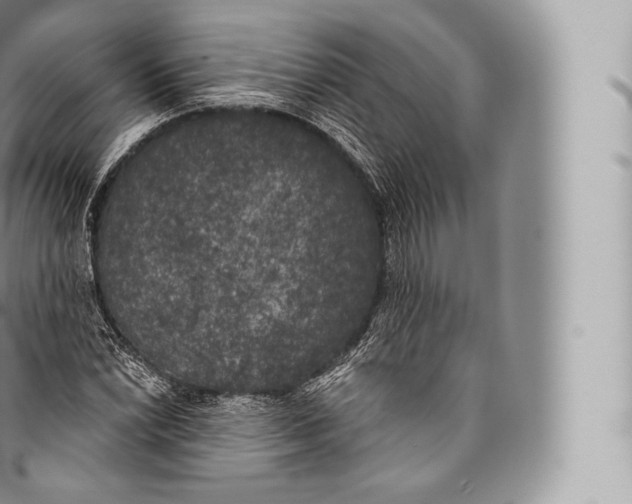 X0000096491022200802141741