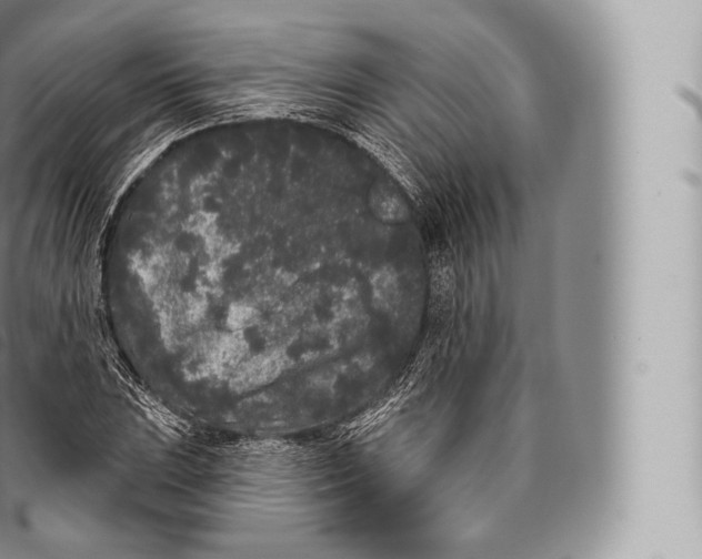 X0000096491023200802141741