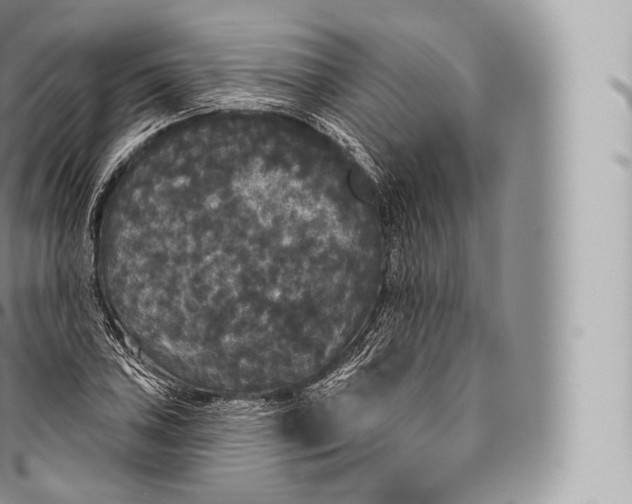 X0000096491027200802141741